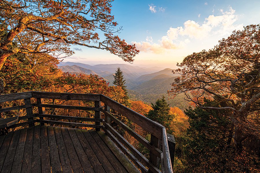 Roy-Taylor-Forest-Overlook.jpg