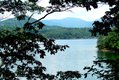 phoca_thumb_l_Carvins-Cove-View-From-Tree.JPG