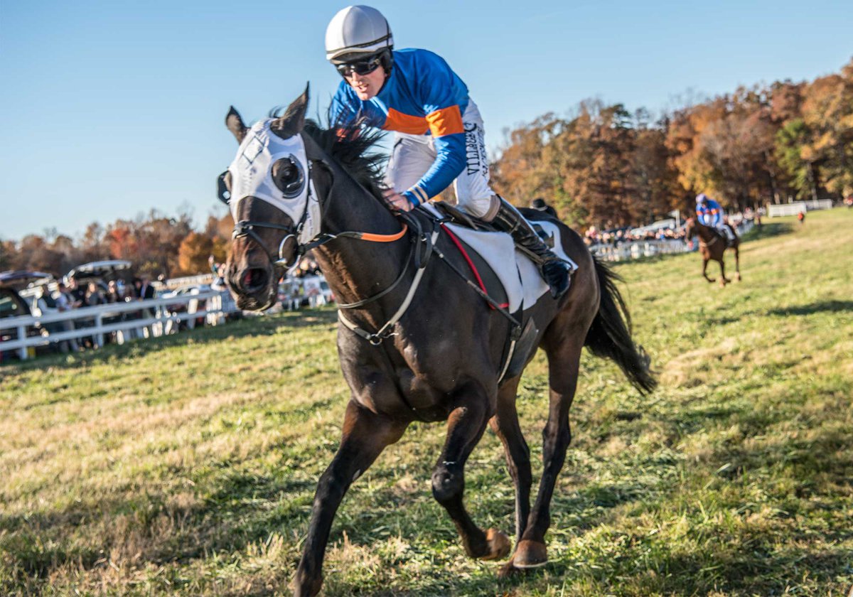 The Montpelier Hunt Races Blue Ridge Country