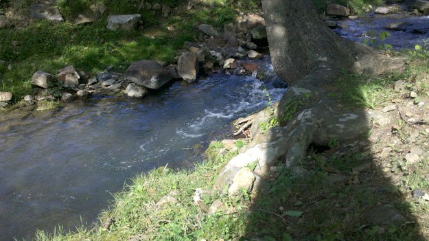 The creek 