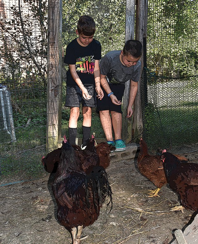 Eli-and-Sam-feeding-our-chickens.jpg