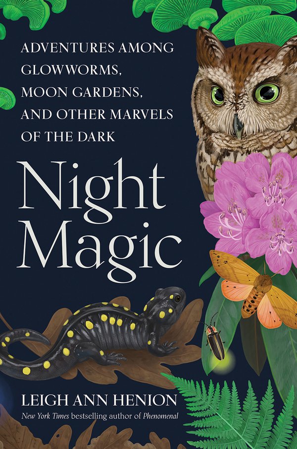 Night-Magic-Cover-.jpg