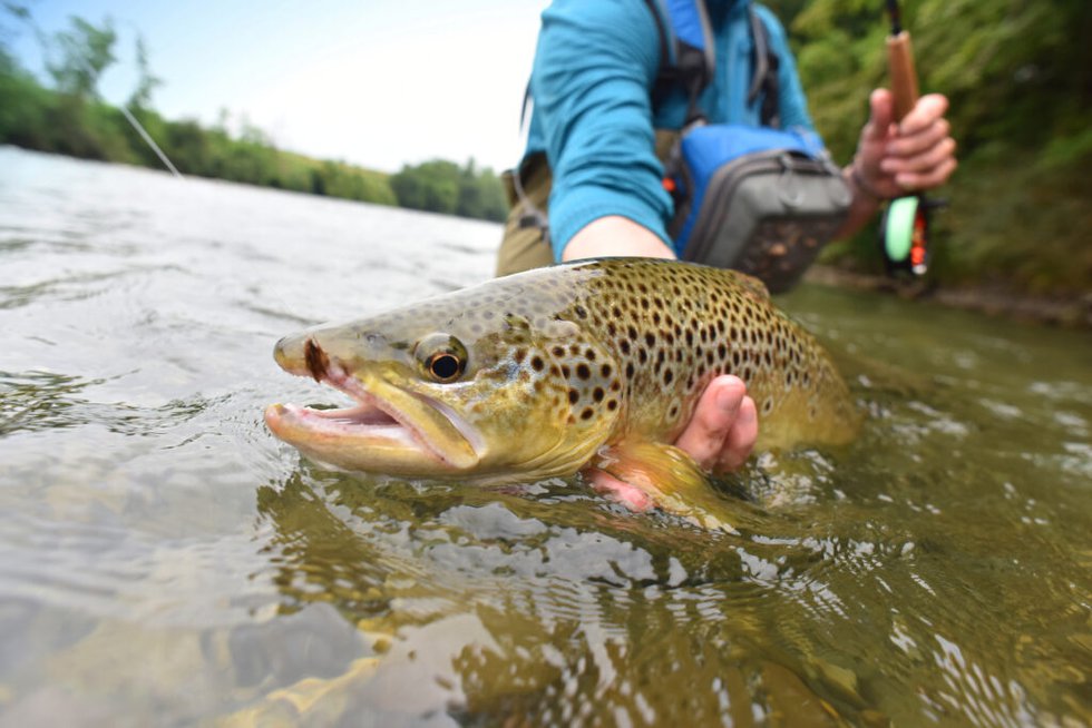 trout-tournament-1024x684.jpg