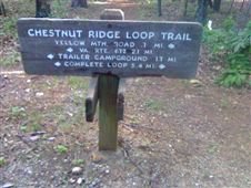 Chestnut Ridge Loop Trail