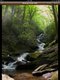The Waterfalls of Western N.C. - Roaring Creek Falls