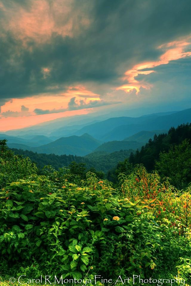 Our Favorite Facebook Photos: 8/15/14 - Blue Ridge Country