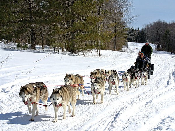 Huskies on the march