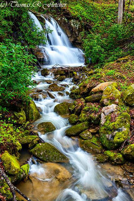 Our Favorite Facebook Photos: 5/1/15 - Blue Ridge Country