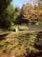 Cavender-Creek-Cabins-pond-fall.jpg