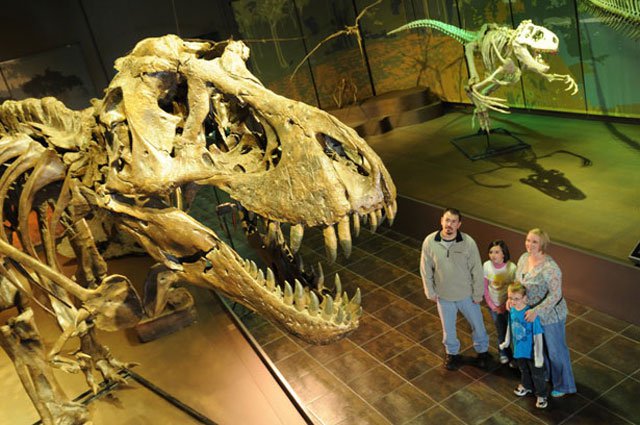 Museum Dinosaur