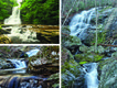Top VA Waterfalls