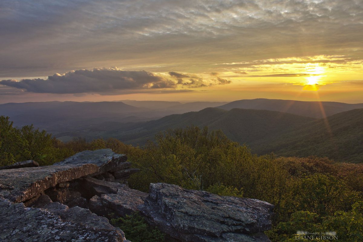 Our Favorite Facebook Photos: 7/22/16 - Blue Ridge Country