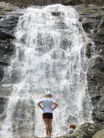 are dogs allowed at white oak canyon