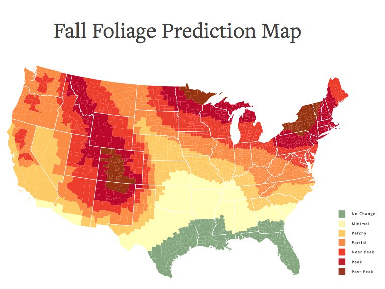 Fall Foliage - Live Web Cams! - Blue Ridge Country