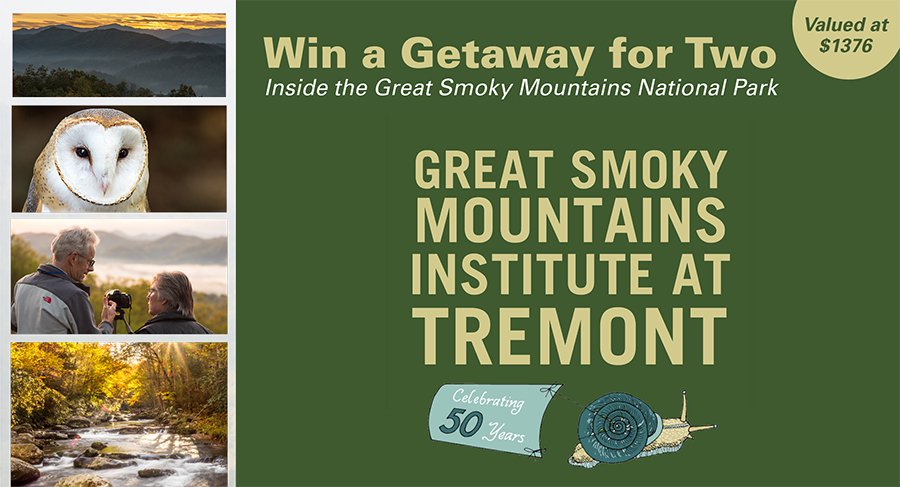 Tremont Giveaway Banner