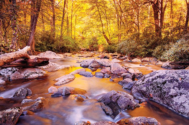 Beautiful Blue Ridge Fall Foliage Photos 2019 Blue Ridge - 