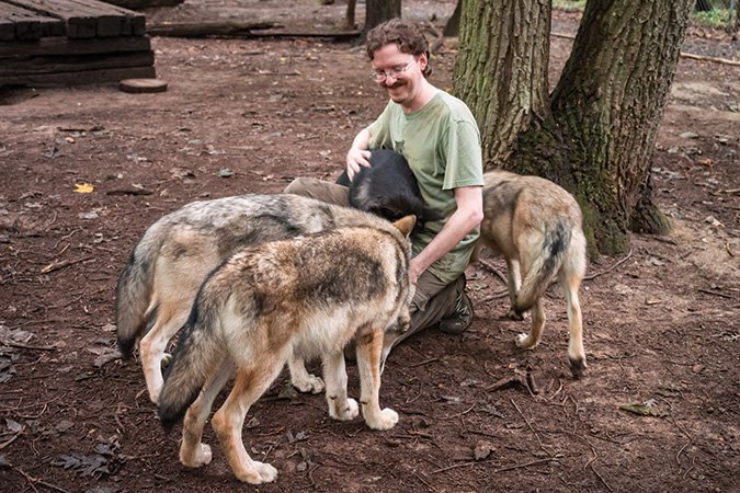 Wolf-Puppies-20140811-100.jpg