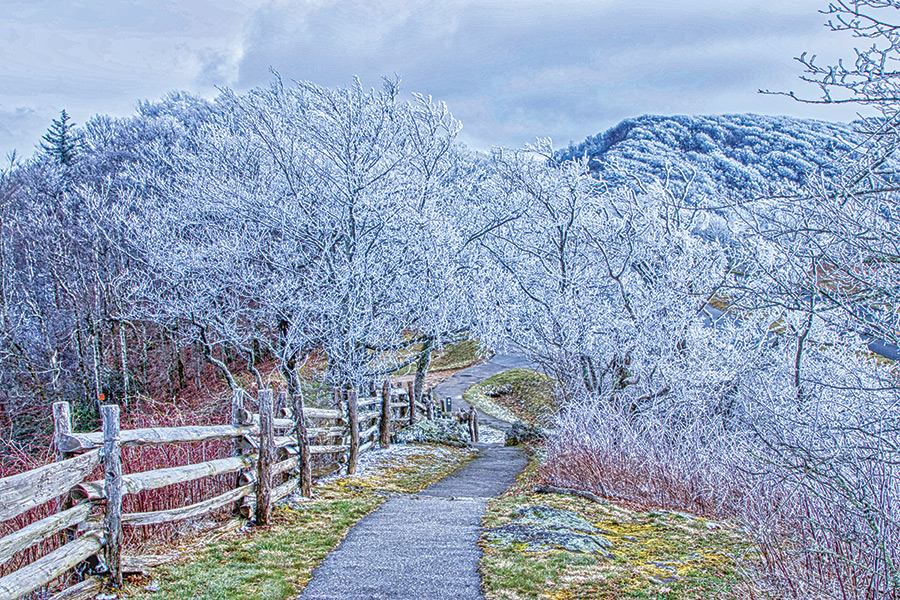 Atmospheric icing, also known as hoarfrost formed overnight near Craggy Gardens on the Blue Ridge Parkway milepost 361.2. The overlook is about seven miles south of Mt. Mitchell, the highest peak east of the Mississippi river in the United States. This overlook is about 2 miles north of Craggy Gardens visitor center. The elevation is 5,200 feet above sea level. Hoarfrost provides a wonderful opportunity for a photographer to capture an enchanting natural blend of color and texture.