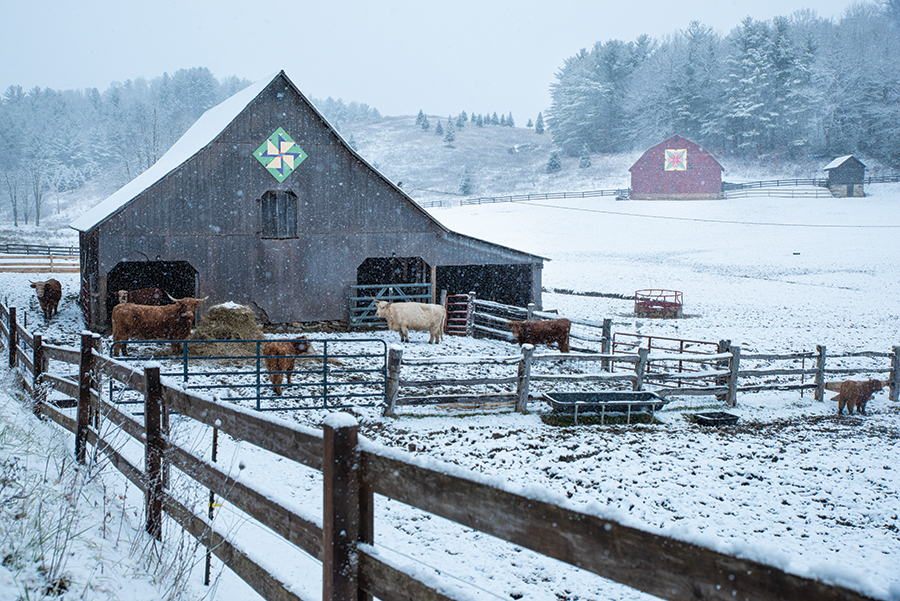 These beautiful squares are located on Stamey Branch Road near the corner of 194S, Altamont, North Carolina. Both are on old barns belonging to the Wiseman family. Carter Wiseman had the square created. The artist for both is Heidi Fisher. From the photographer: “The one on the left is called Spizorinktum—a word coined by Wiseman’s grandmother, referring to having lots of energy—and the one of the right is called Wiseman’s Windmill.”