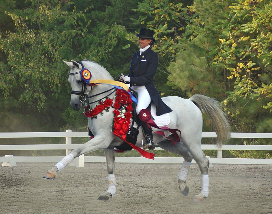 Virginia Horse Center