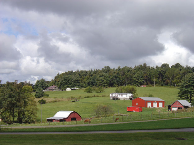 Boundaries between parkway and private land are defined and also porous.