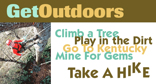 Outside for Summer: Climb a Tree