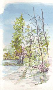 marie-spaeder-haas-McCamyLakeTrail