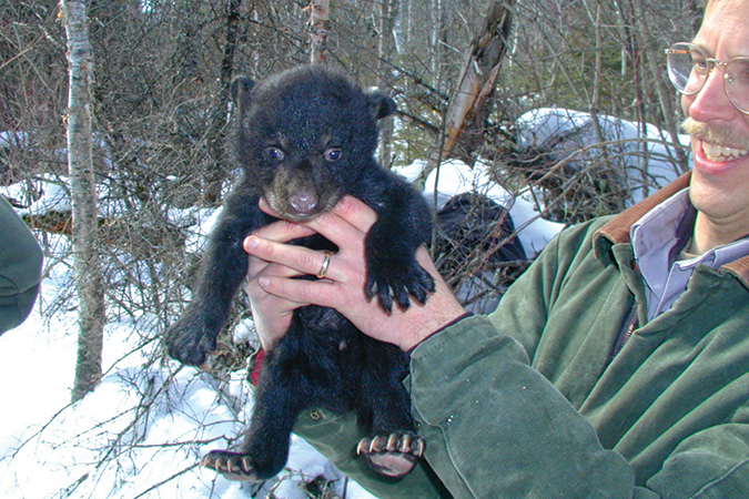 Jim Schaberl’s long career in wildlife includes a bear cub encounter or two.