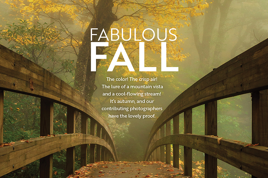 The Rough Ridge Bridge is on the Tanawha Trail in North Carolina near Grandfather Mountain. From the photographer: “I’ve been on Rough Ridge Trail when the fog was so thick you couldn’t see your own nose, only to have the wind change direction and give you vista views for miles. Add to this the changing of seasons, varying weather conditions and different angles of light  from the sun and you have something truly magical.”