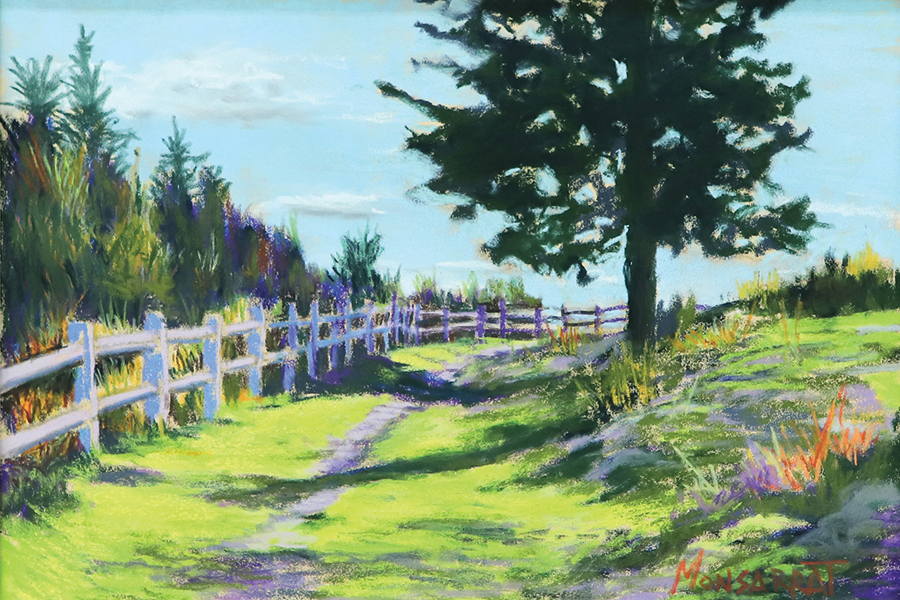 Mt. Rogers Trail: As a landscape artist I get to combine my art work and a love of exploring. For this piece I worked from a photo I took on a bike packing trip I took in the Abingdon and Mt. Rogers area of Virginia. This route is called Rockgeist in honor of the number of rocks we carried the bikes over. But we were we rewarded with wonderful scenery and a stunning sunset.