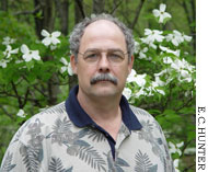 Steve Oak. The aptly named expert says it's virtually certain that infected plants have been planted in people's back yards.