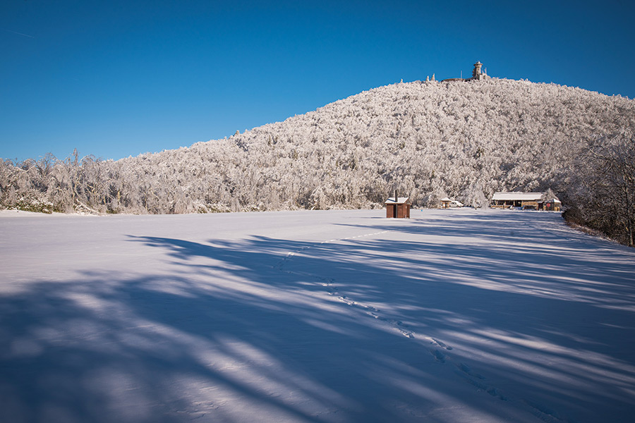 This shot of Brasstown Bald, Georgia, was taken on one of the coldest mornings of the year in North Georgia, as it was 12 degrees when the photographer started hiking at 4 a.m. About 6 inches of snow had fallen and it was cold and windy enough for ice to completely encapsulate every branch and leaf.