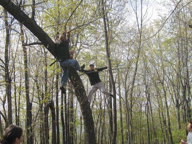 Dave and buddy Erik in the trees, as some 30-somethings do.