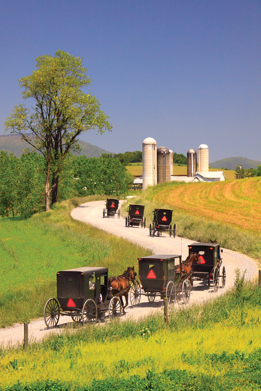 Mennonites travel home after their Ascension Day Church Service west of Dayton, Virginia, in the Shenandoah Valley.