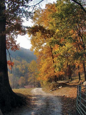 Snug Hollow Farm’s natural beauty provides the perfect backdrop for a relaxing retreat from the modern world.