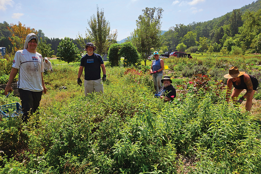 Agri-therapy promotes healing through the act of digging in the dirt.
