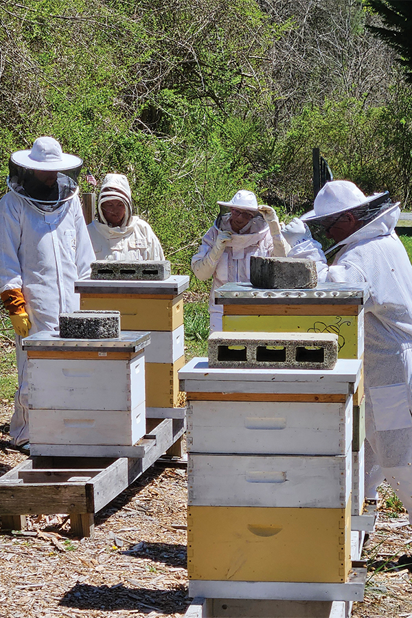 Honeybees pollinate and produce honey.