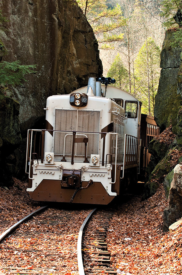 Locomotive 106 of The Big South Fork Scenic Railway in Stearns takes visitors on a picturesque 14-mile trip through the Daniel Boone National Forest and Big South Fork National River & Recreation Area. The ride makes a stop at Blue Heron Coal Mining Camp, a National Park Service outdoor interpretive site, which houses the largest interpretive collection of historic coal mining in America.