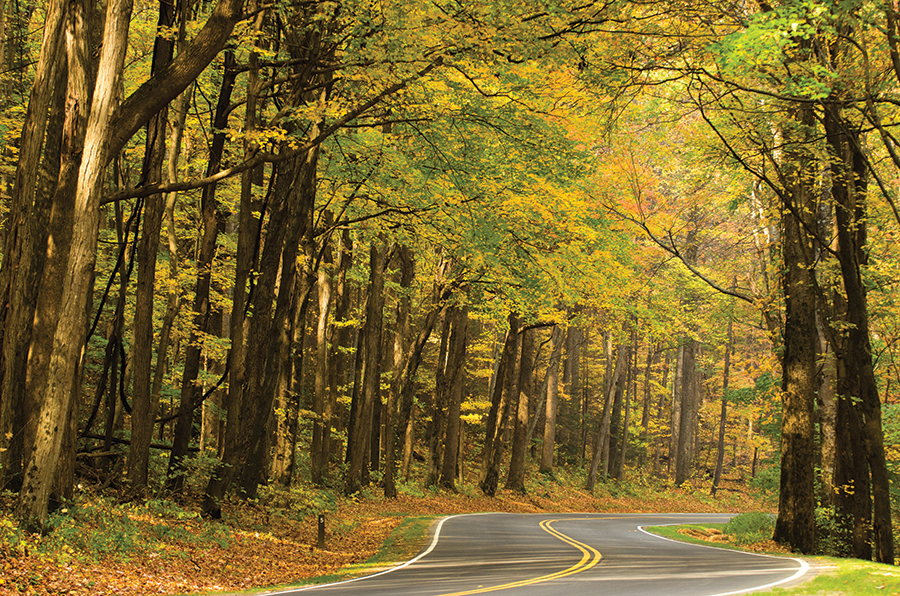 Newfound Gap Road is the only fully paved road through the heart of the park.