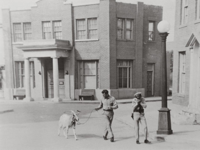 In a rare photo from the collection of Emmett Forrest, Andy Griffith and Don Knotts lead a goat across the set.