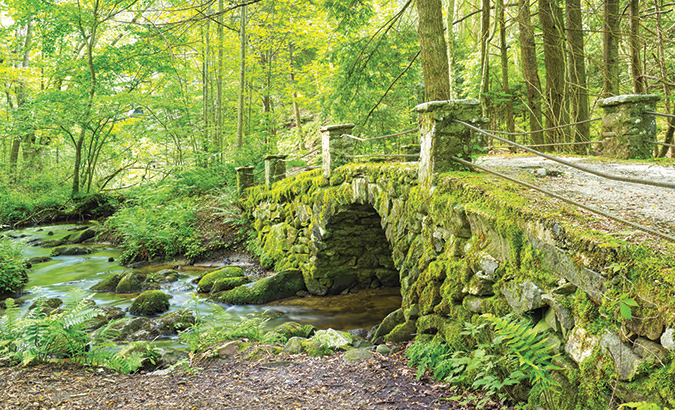 The Elkmont Troll bridge is down a side trail off the main Little River Trail.