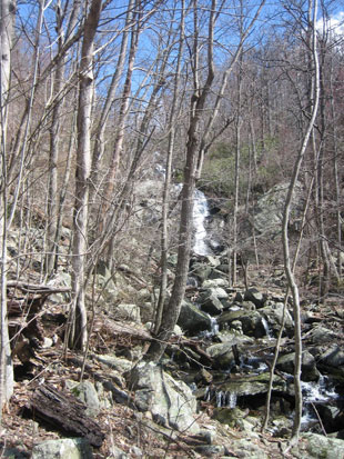 Fallingwater Cascades