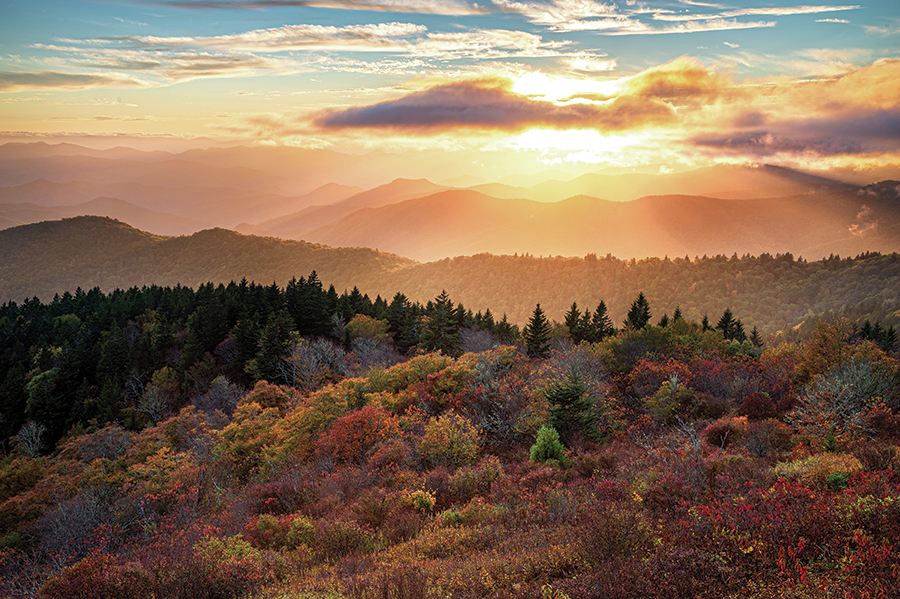 Cowee Mountains Overlook, Milepost 430 on the Blue Ridge Parkway near Sylva, North Carolina. From the photographer: “Golden hour and fall foliage - does it get any better? I chanced upon this lovely autumn scene, with vivid golden light shining down over.”