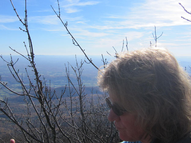 Looking toward Bedford from Flat Top Mountain eastern summit.