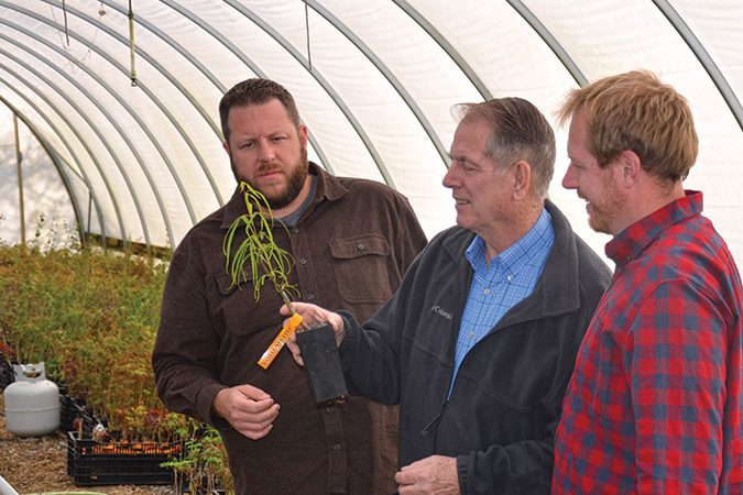 Norman Nichols, center, examines a young tree in the nursery with his sons, Matt, left, and Tim.