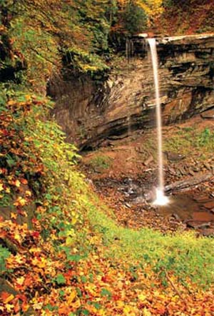 In the Monongahela National Forest. Portions of the West Virginia woodland are wild and fully undeveloped.