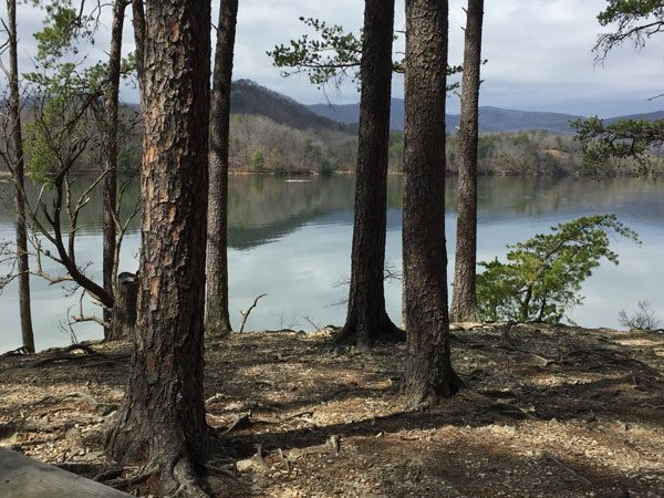 The pretty view onto Carvins Cove from an otherwise empty picnic area (3/17/18).
