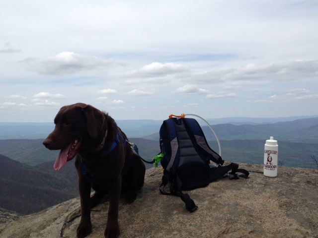 Griz waiting for me to unpack lunch