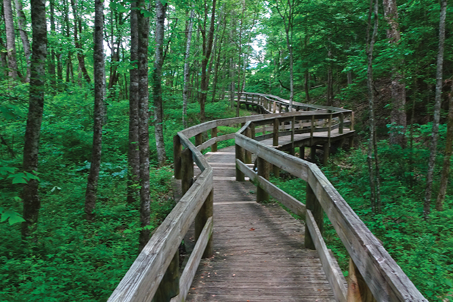 The trail makes its way through Persimmon Ridge Park.