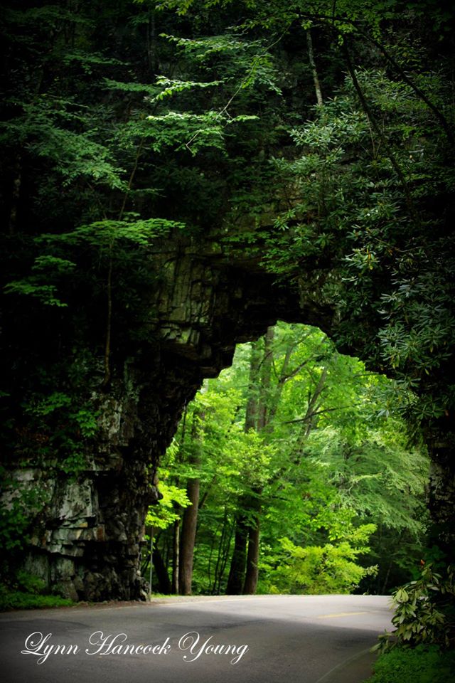Here's the 'World's Shortest Tunnel' through Backbone Rock on Hwy 133 between Shady Valley, TN and Damascus, VA. It was constructed in 1901 for hauling timber from Tennessee to a nearby saw mill outside of Damascus. Unable to go around the 75' high, 20' wide wall of rock, they decided to blast their way through.